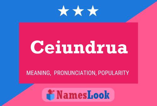 Ceiundrua Name Poster