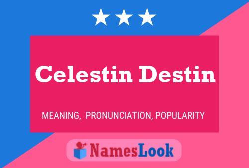 Celestin Destin Name Poster