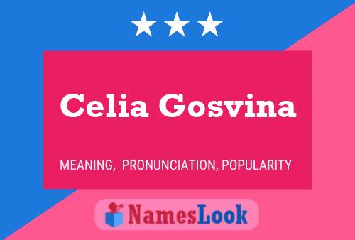 Celia Gosvina Name Poster