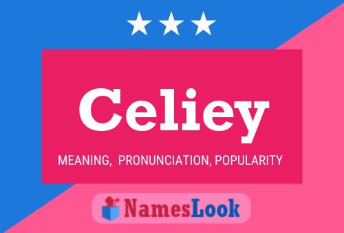 Celiey Name Poster