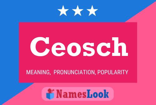 Ceosch Name Poster