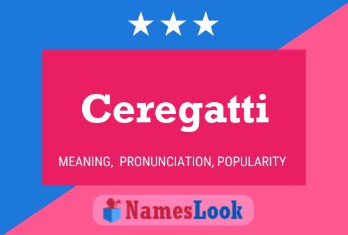 Ceregatti Name Poster