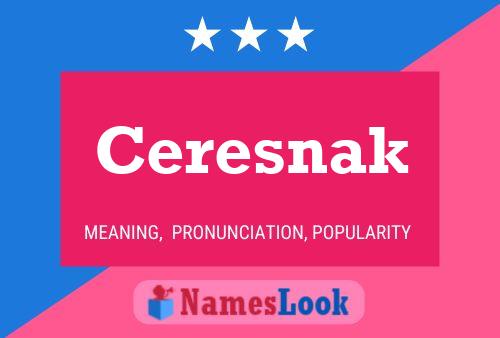 Ceresnak Name Poster