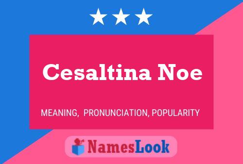 Cesaltina Noe Name Poster