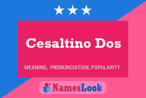 Cesaltino Dos Name Poster