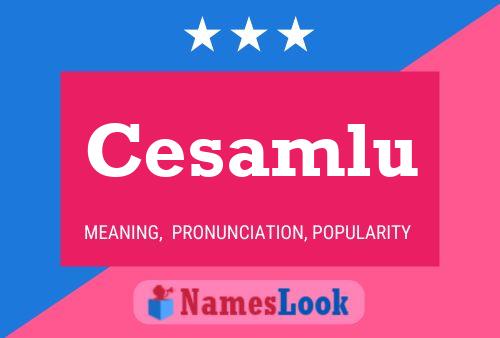 Cesamlu Name Poster