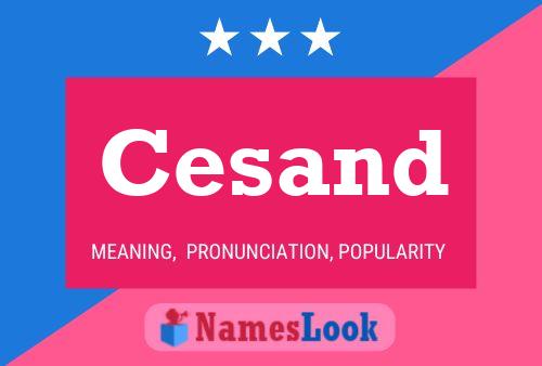 Cesand Name Poster