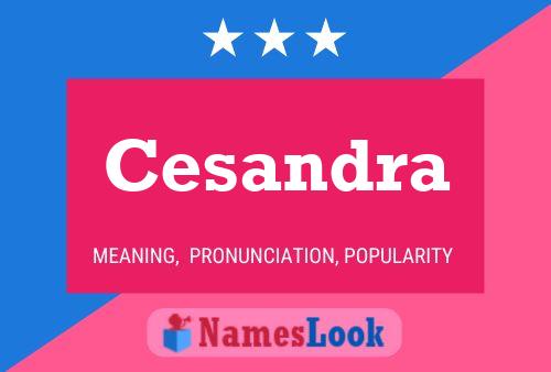 Cesandra Name Poster