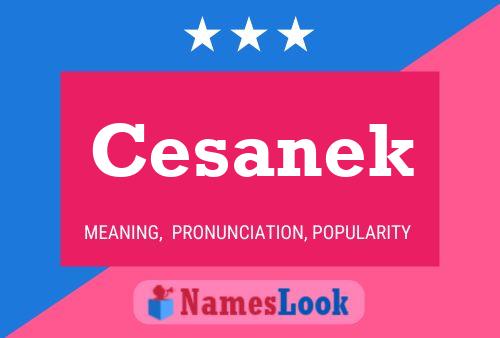 Cesanek Name Poster