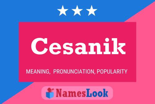 Cesanik Name Poster