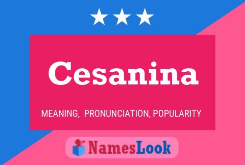 Cesanina Name Poster