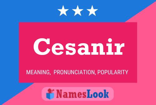 Cesanir Name Poster