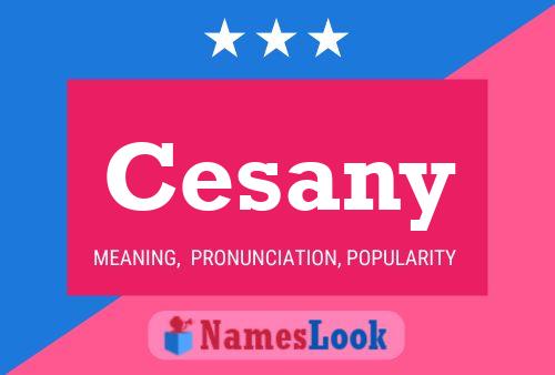 Cesany Name Poster