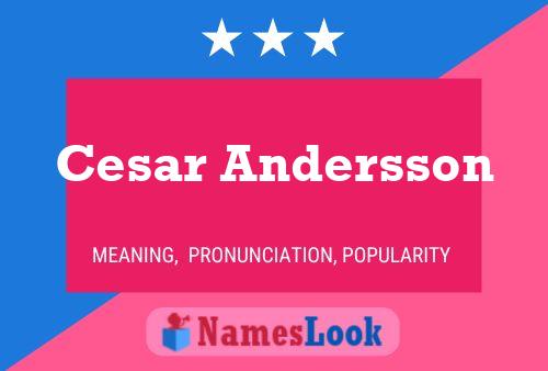 Cesar Andersson Name Poster