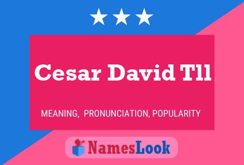 Cesar David Tll Name Poster