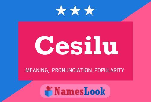 Cesilu Name Poster