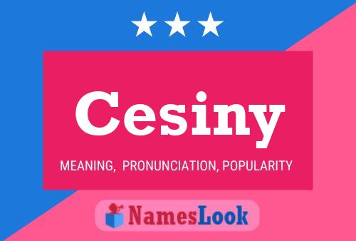 Cesiny Name Poster