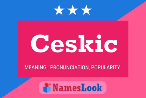 Ceskic Name Poster