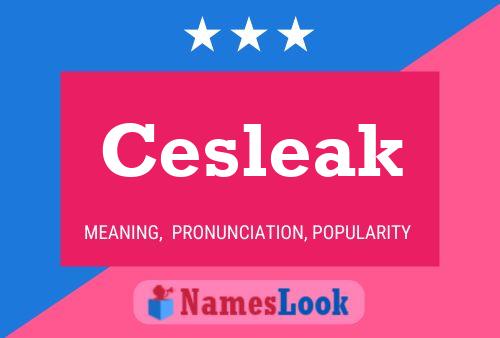 Cesleak Name Poster