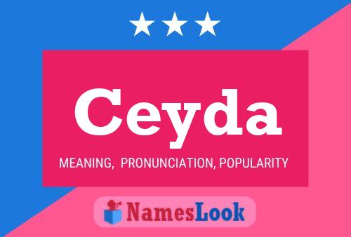 Ceyda Name Poster