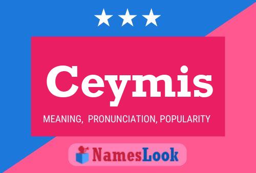 Ceymis Name Poster