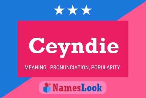 Ceyndie Name Poster