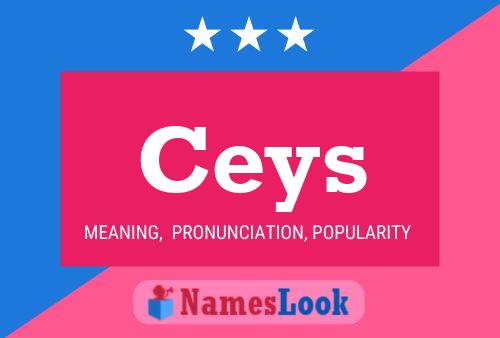 Ceys Name Poster