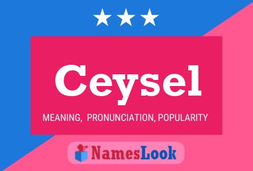 Ceysel Name Poster