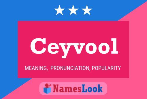 Ceyvool Name Poster