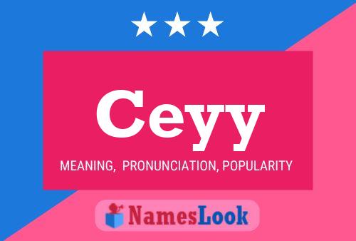 Ceyy Name Poster