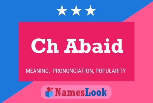 Ch Abaid Name Poster