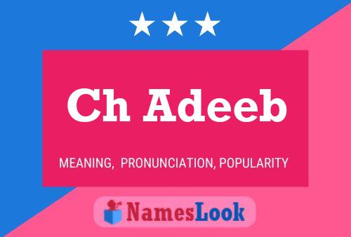 Ch Adeeb Name Poster