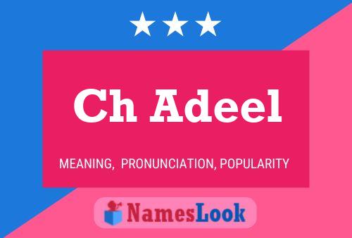 Ch Adeel Name Poster