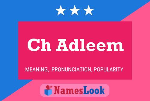 Ch Adleem Name Poster