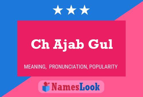 Ch Ajab Gul Name Poster