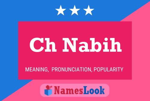 Ch Nabih Name Poster