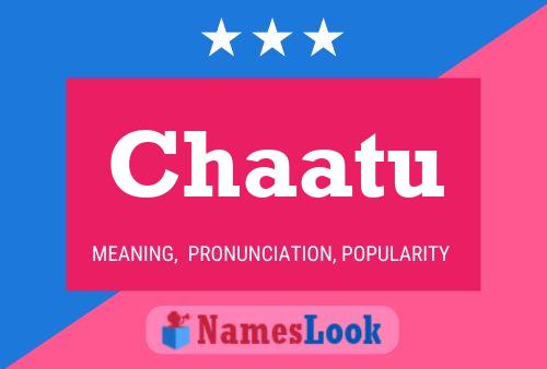 Chaatu Name Poster