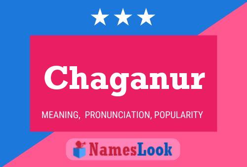 Chaganur Name Poster