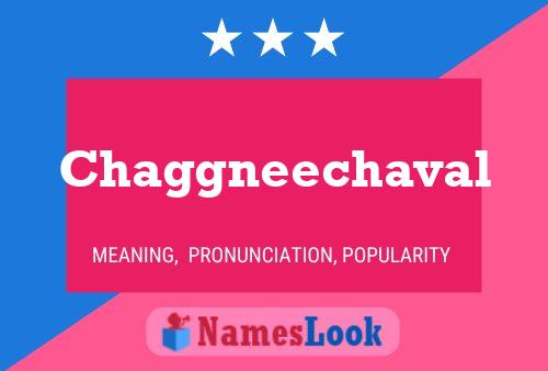 Chaggneechaval Name Poster