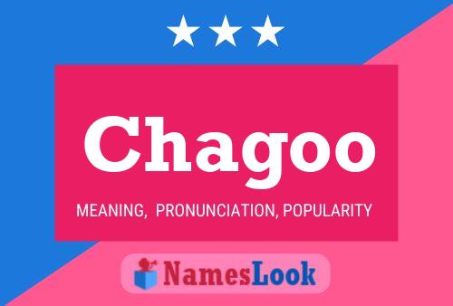 Chagoo Name Poster