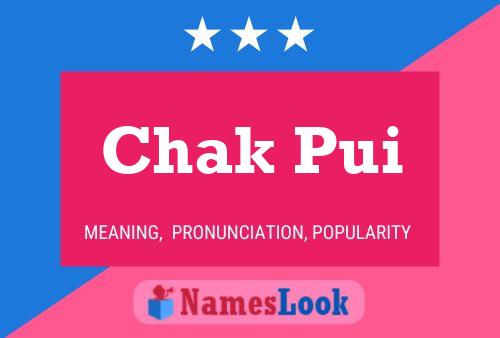 Chak Pui Name Poster