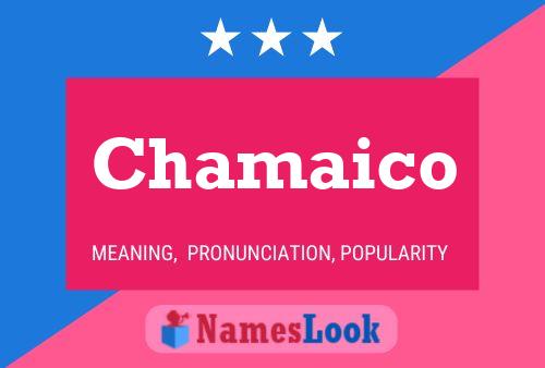 Chamaico Name Poster