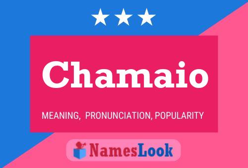 Chamaio Name Poster