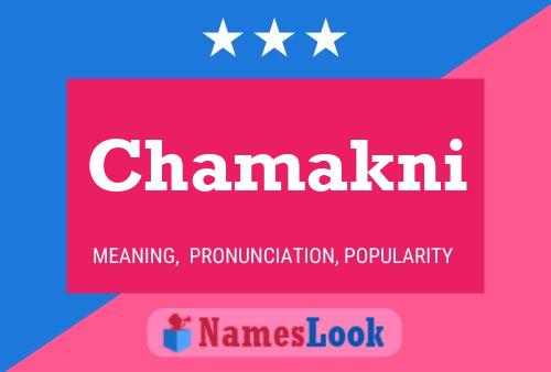 Chamakni Name Poster