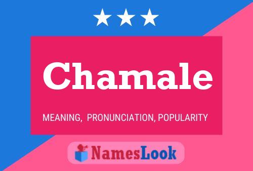 Chamale Name Poster