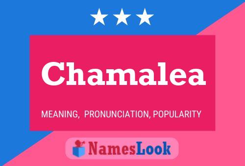 Chamalea Name Poster