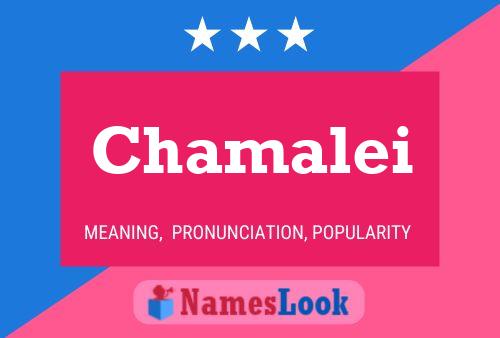 Chamalei Name Poster