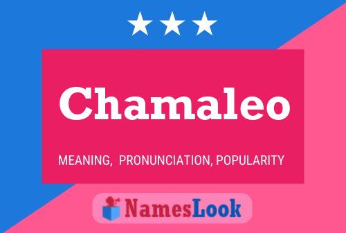 Chamaleo Name Poster