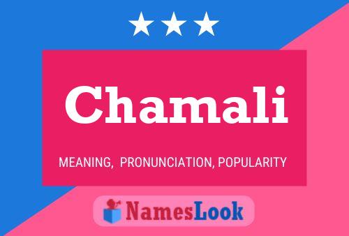 Chamali Name Poster