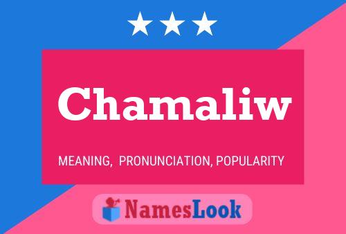 Chamaliw Name Poster